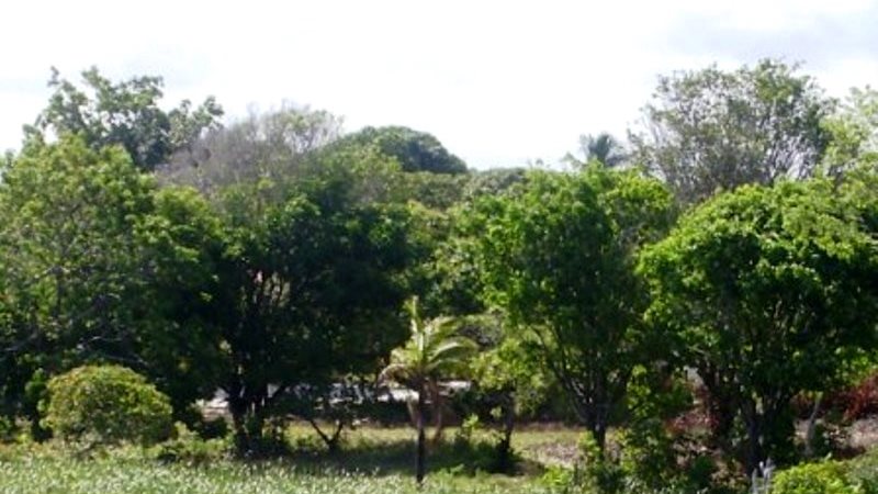 Vendo Terreno com 7.742m², na Beira da Rodovia da Linha Verde/Guarajuba/Monte Gordo